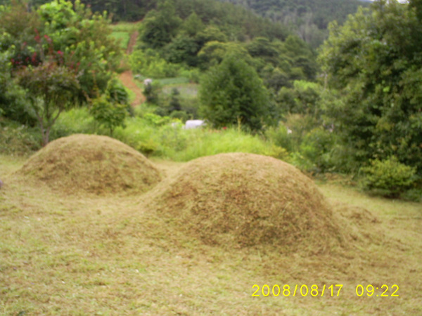 080817_S5031320.jpg