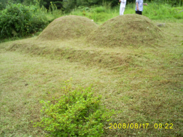 080817_S5031322.jpg
