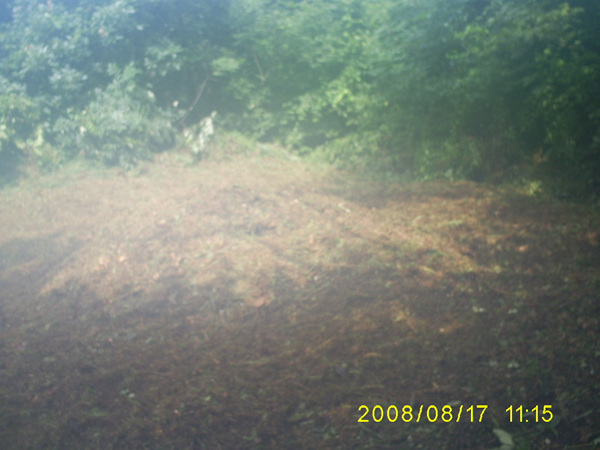 080817_S5031326.jpg