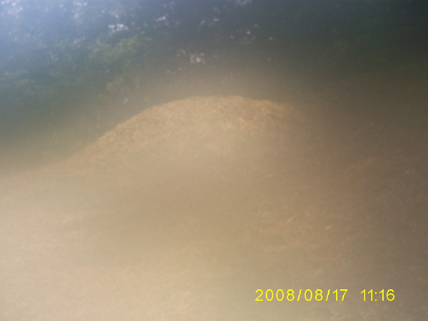 080817_S5031327.jpg