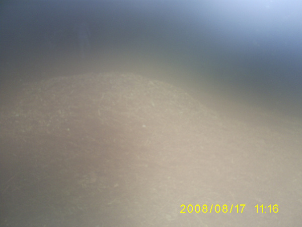 080817_S5031328.jpg