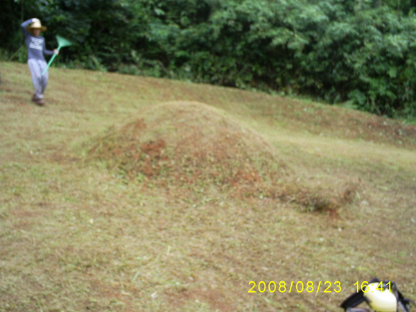 080824_S5031388.jpg