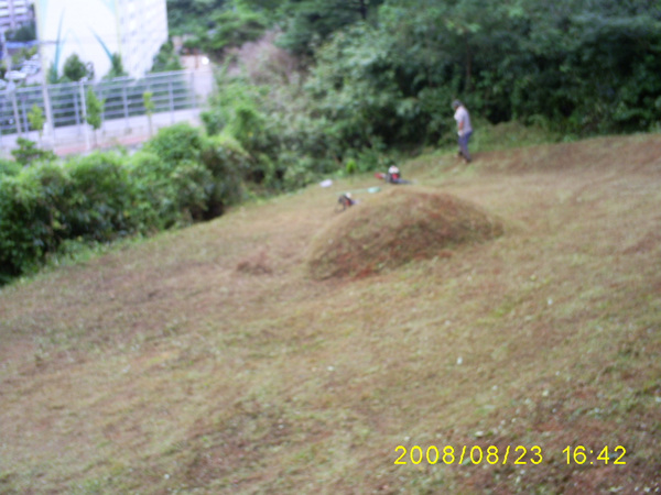 080824_S5031390.jpg