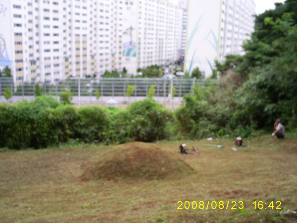 080824_S5031391.jpg
