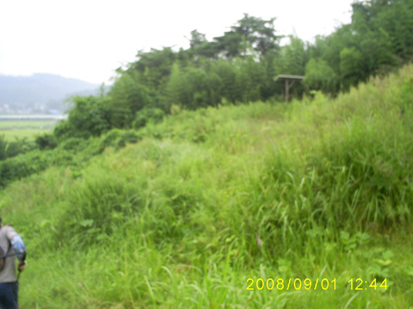 080901_S5031433.jpg