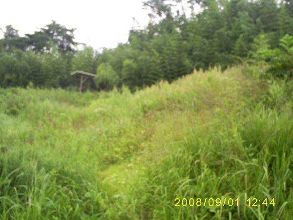 080901_S5031434.jpg