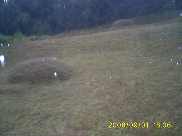 080901_S5031439.jpg