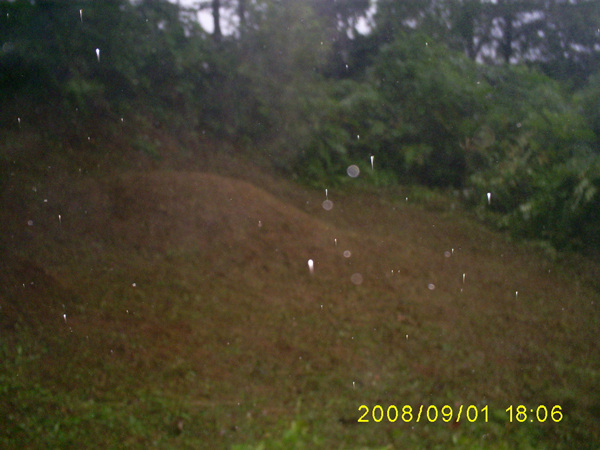 080901_S5031440.jpg