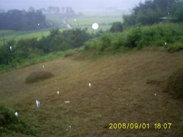 080901_S5031442.jpg