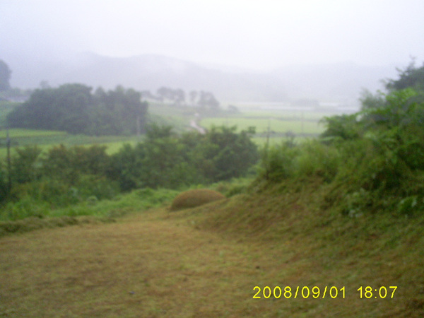 080901_S5031443.jpg