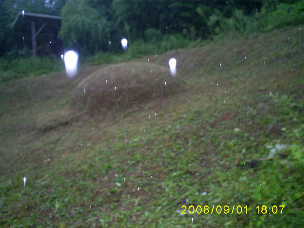 080901_S5031445.jpg