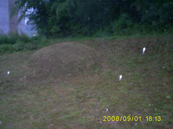 080901_S5031449.jpg