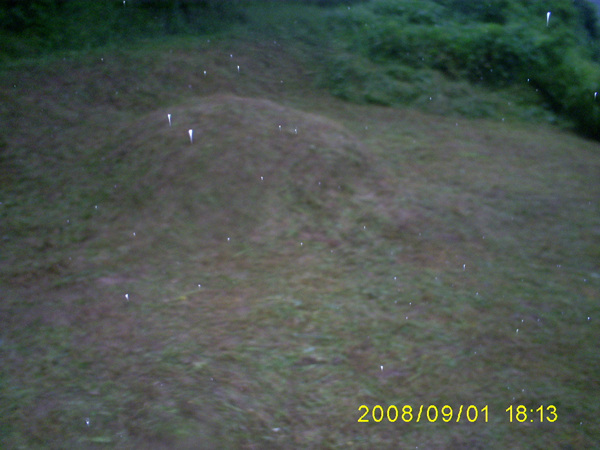 080901_S5031450.jpg