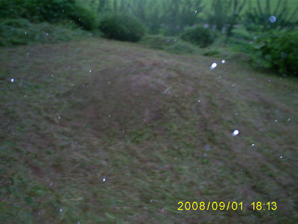 080901_S5031451.jpg