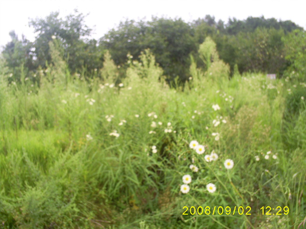 080902_S5031453.jpg