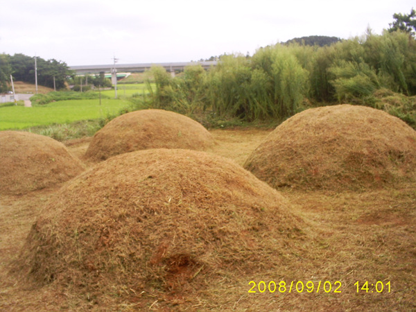080902_S5031457.jpg