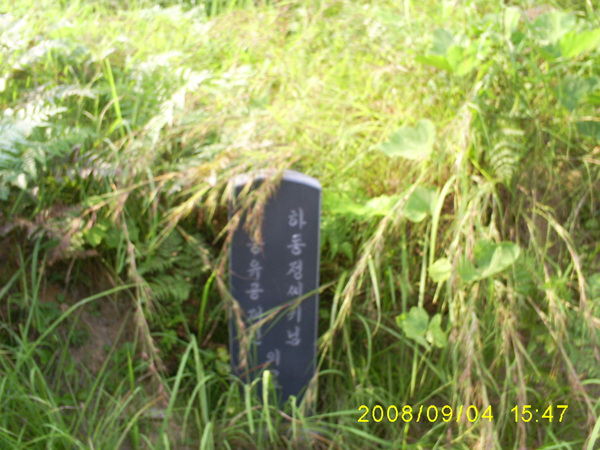 080904_S5031484.jpg