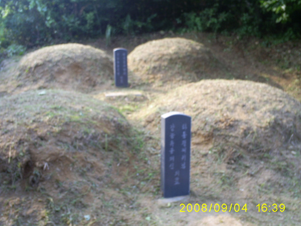 080904_S5031485.jpg