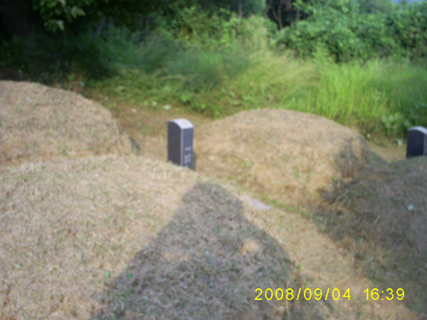 080904_S5031487.jpg