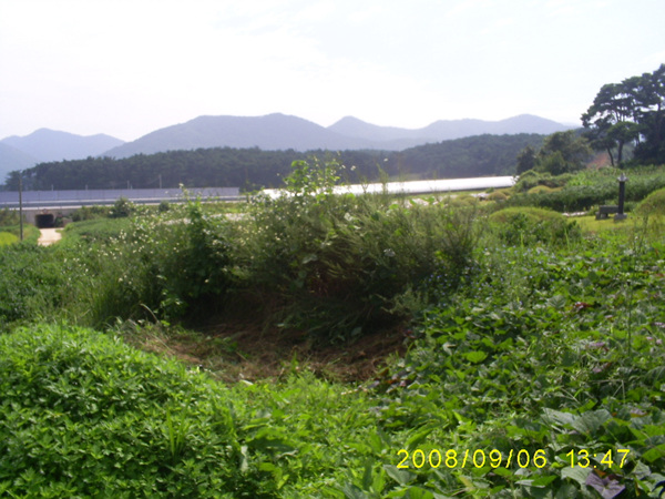 080906_S5031507.jpg