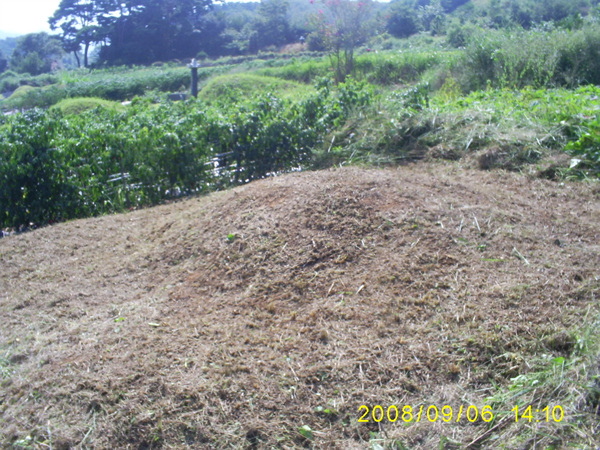 080906_S5031509.jpg