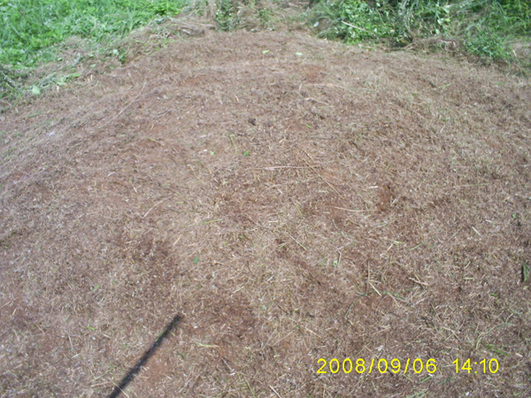080906_S5031511.jpg