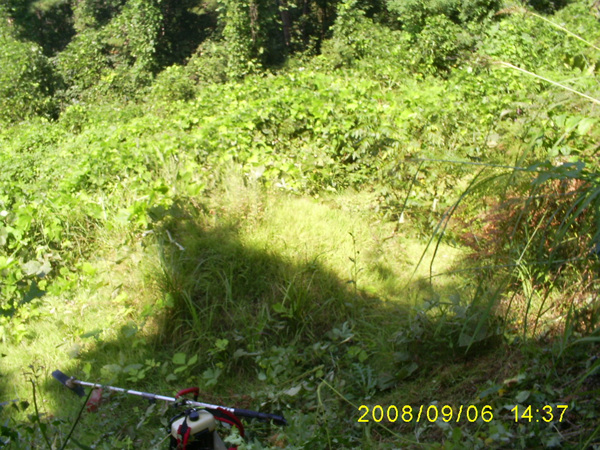 080906_S5031512.jpg
