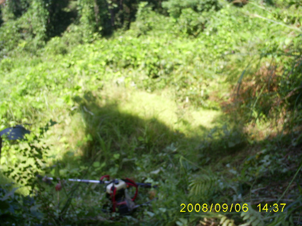 080906_S5031513.jpg