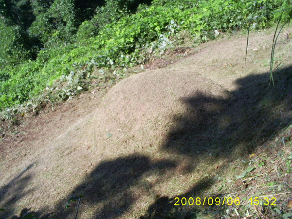 080906_S5031514.jpg