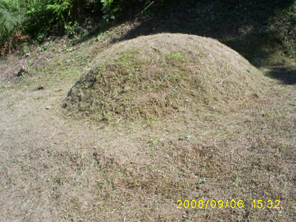 080906_S5031516.jpg