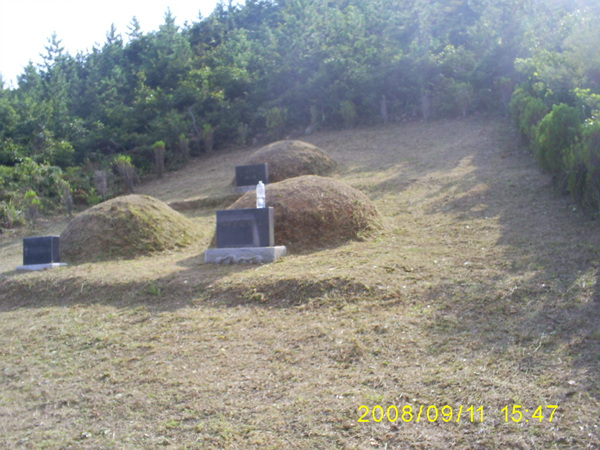 080911_S5031523.jpg