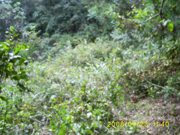 080923_S5031540.jpg