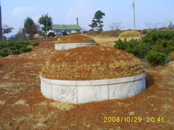 081125_sannumeo181746.jpg