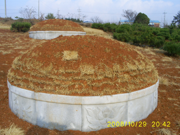 081125_sannumeo181747.jpg
