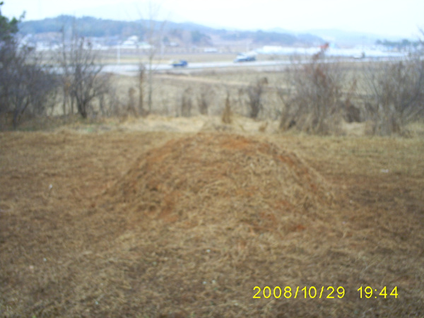 081125_sannumeo182212.jpg
