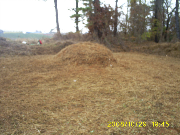 081125_sannumeo182216.jpg
