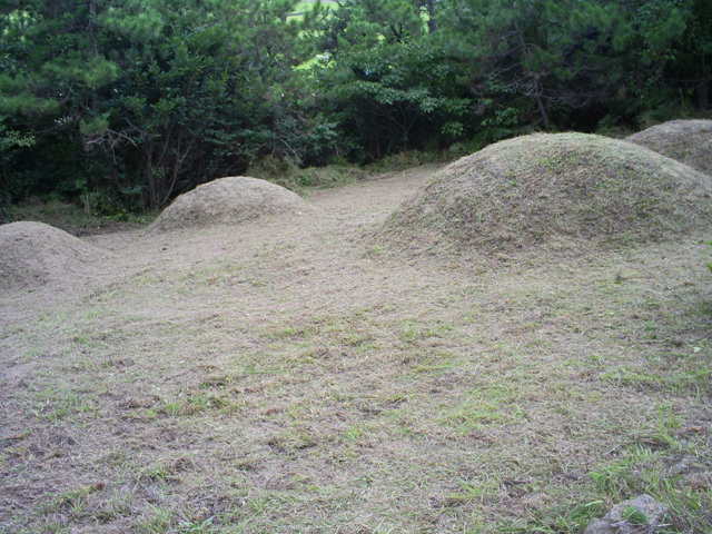 090907_sannumeo195923.jpg