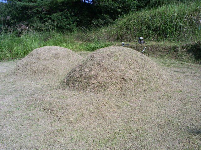 090908_sannumeo220145.jpg