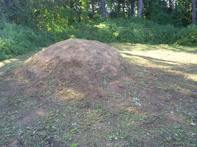 090909_sannumeo213553.jpg