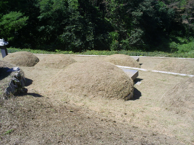 090911_sannumeo063329.jpg