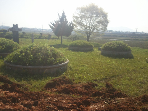 120626_sannumeo182600.jpg