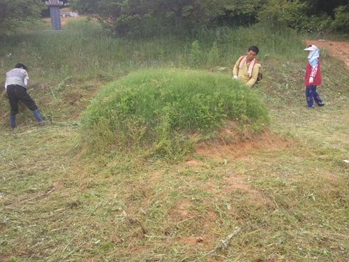 120626_sannumeo182729.jpg