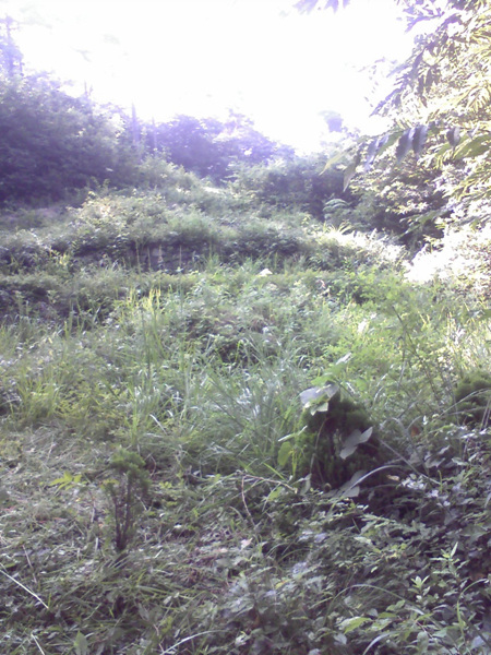 c832bbda939483e035307b0b4b0abe26.jpg